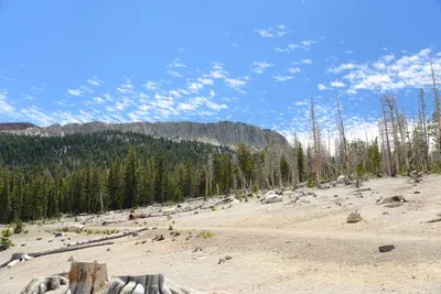 DSC_9981 (Large).JPG